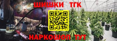 крисы Камень-на-Оби