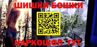 крисы Камень-на-Оби